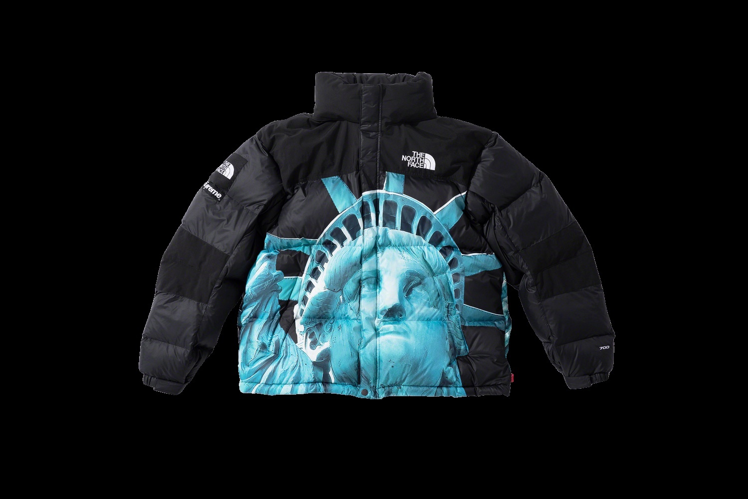 Supreme®/The North Face® Statue of Liberty Baltoro Jacket view 22